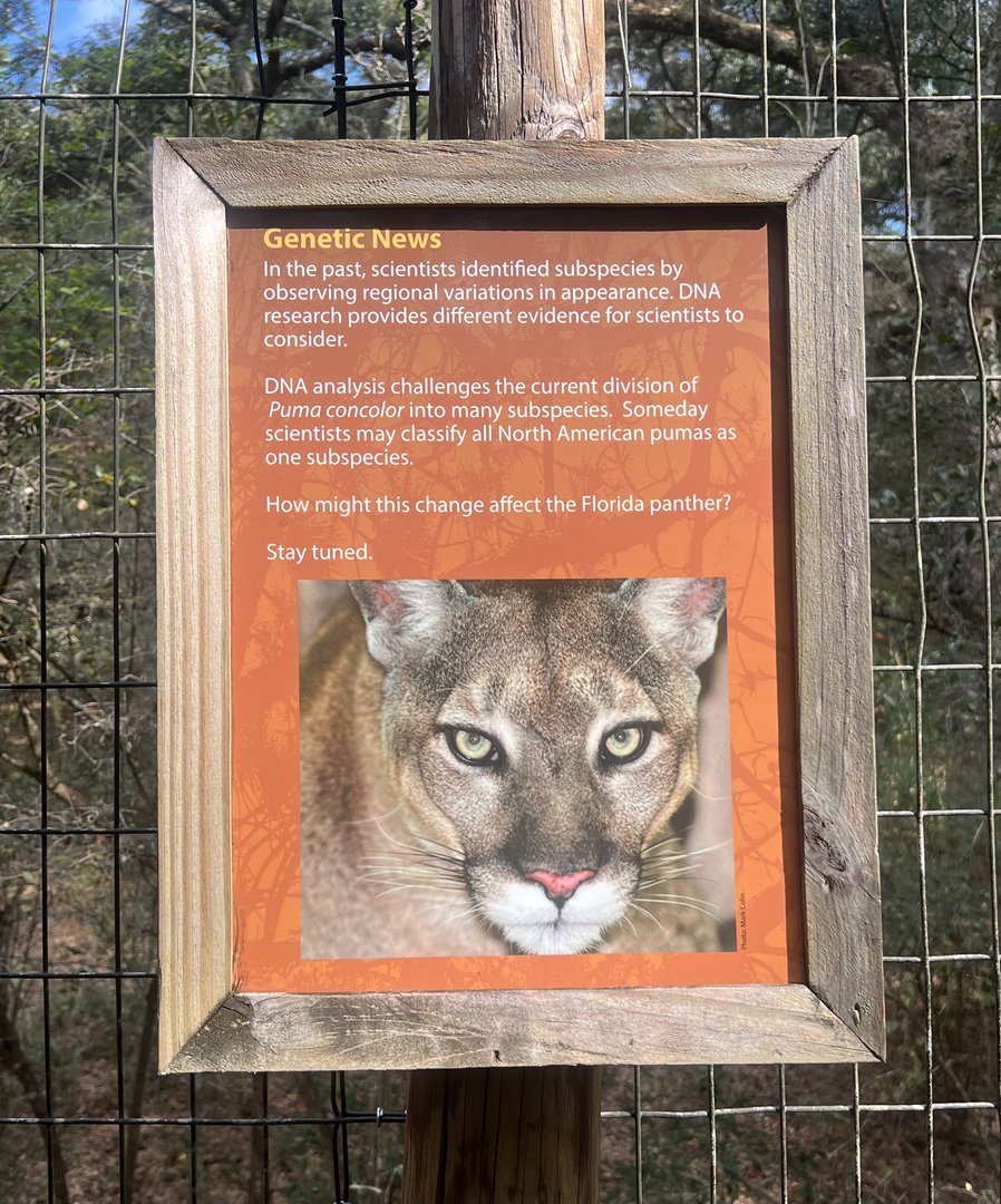 I’m a lumper anyway