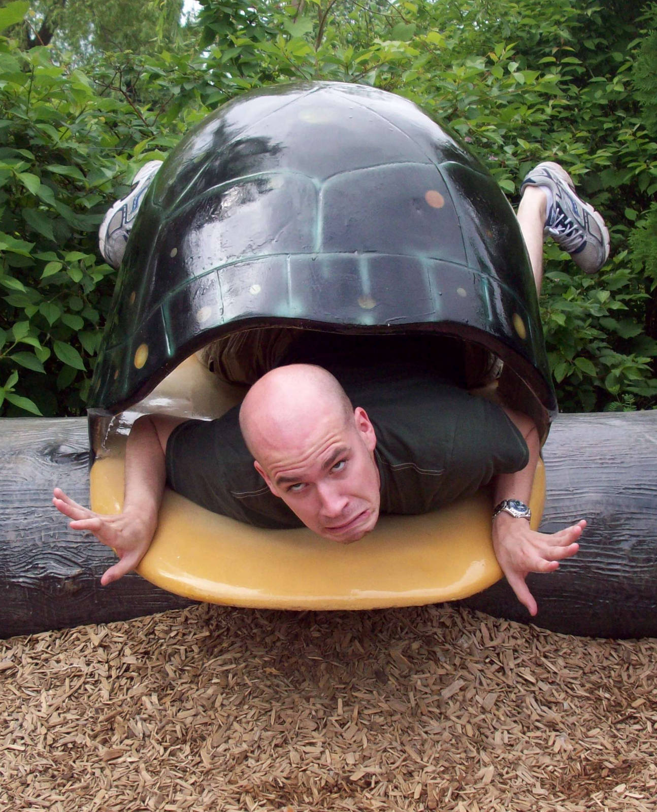 I'm an awkward turtle.