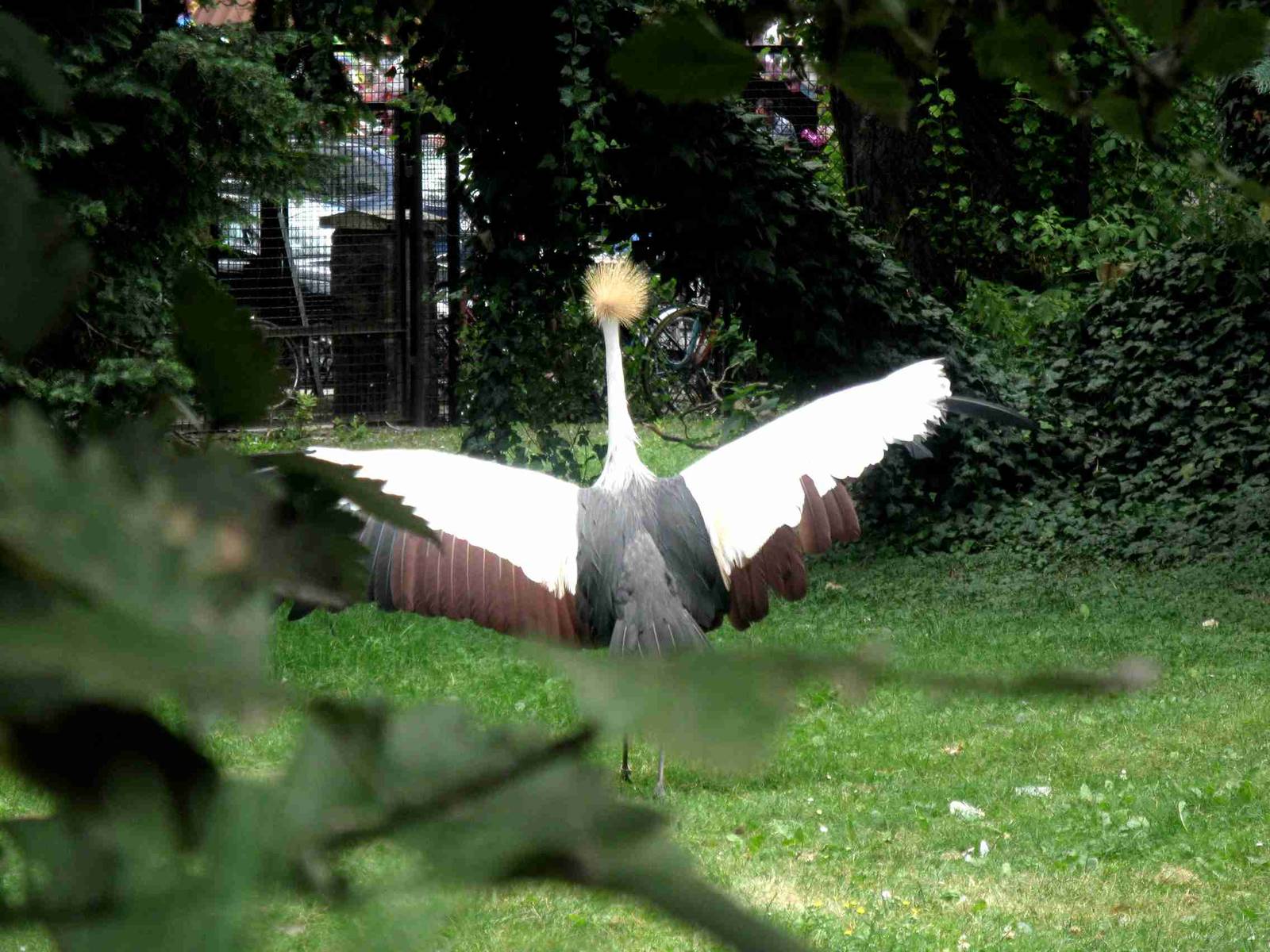 I'm beauty, i'm charming