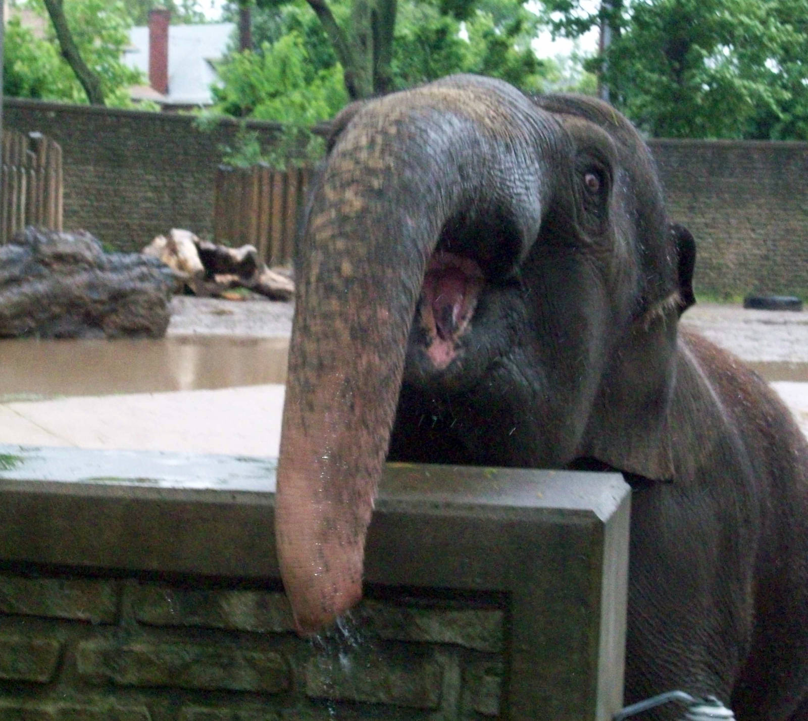 I'm coming to get you!!