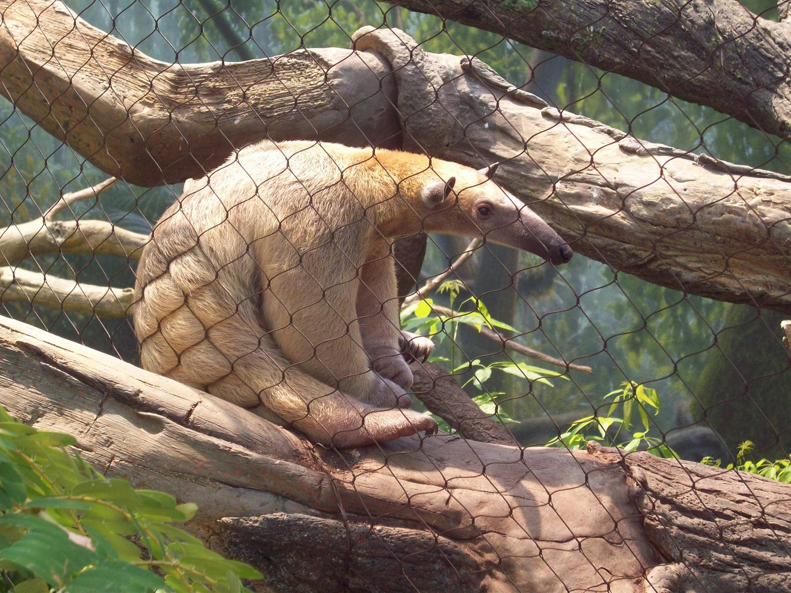 I'm Cute as Can Be, You Must Love Me!