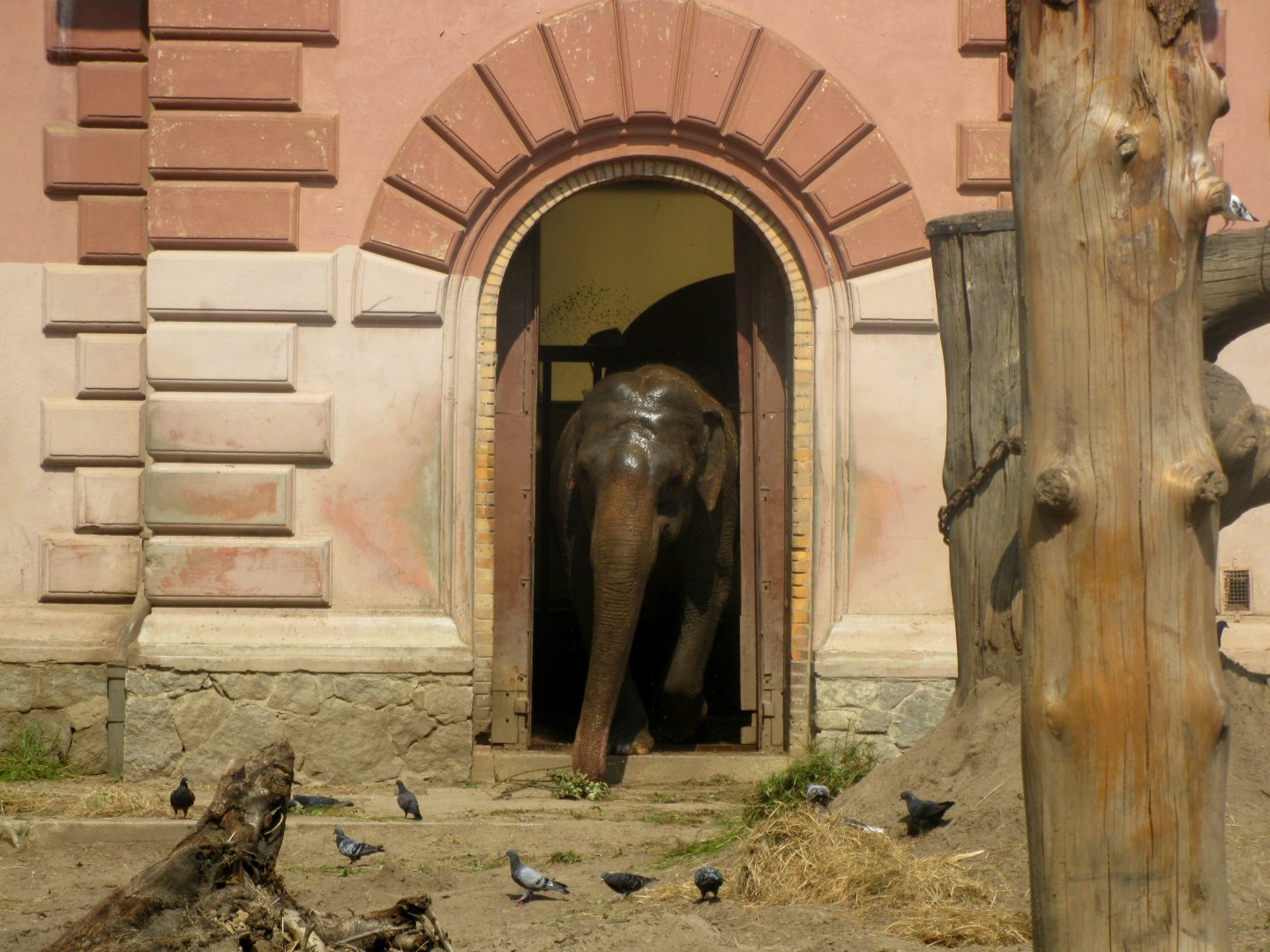 I'm going for a walk. Soon I'll be back - 08.2013