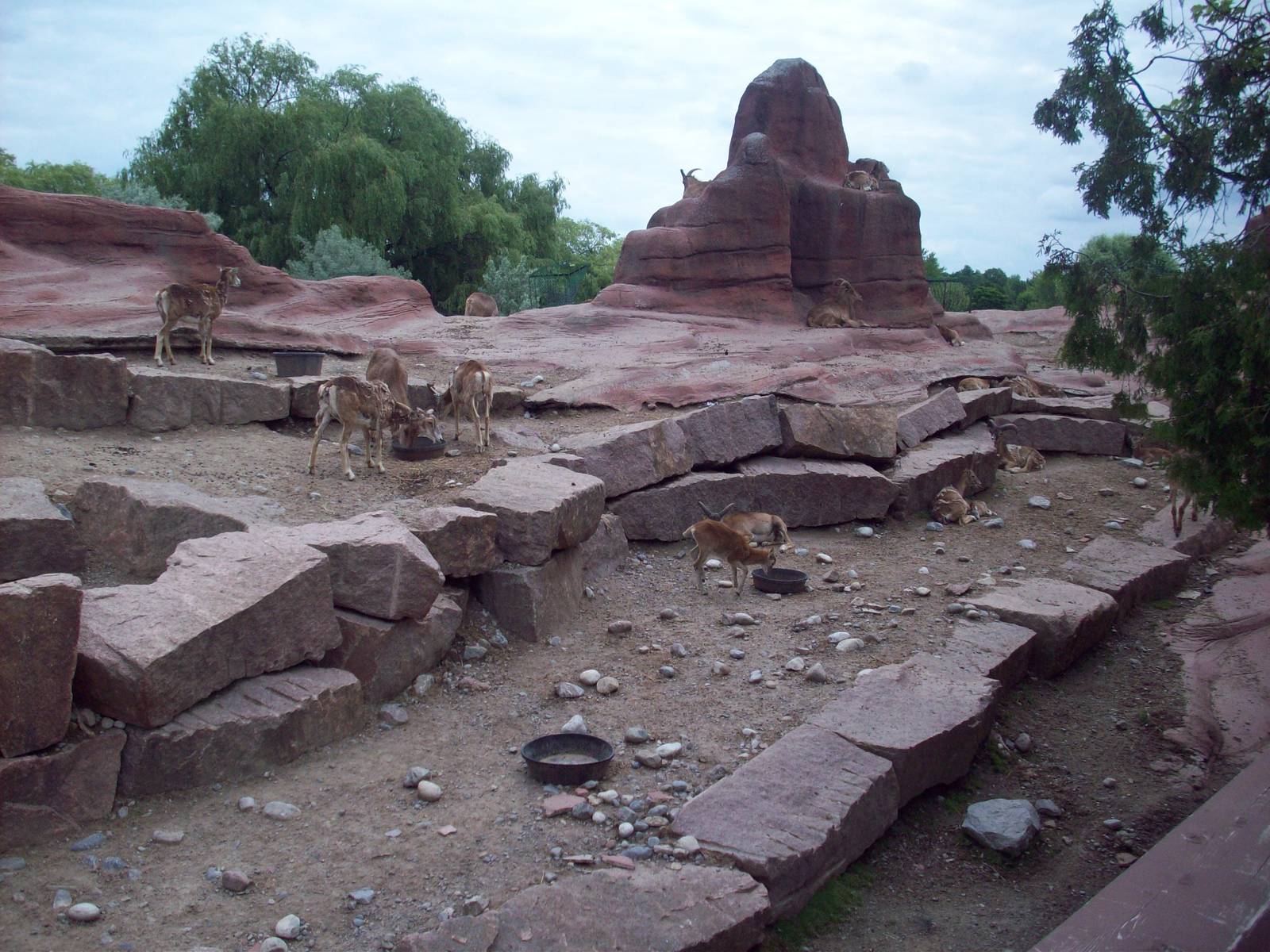 I'm going to mislabel this exhibit