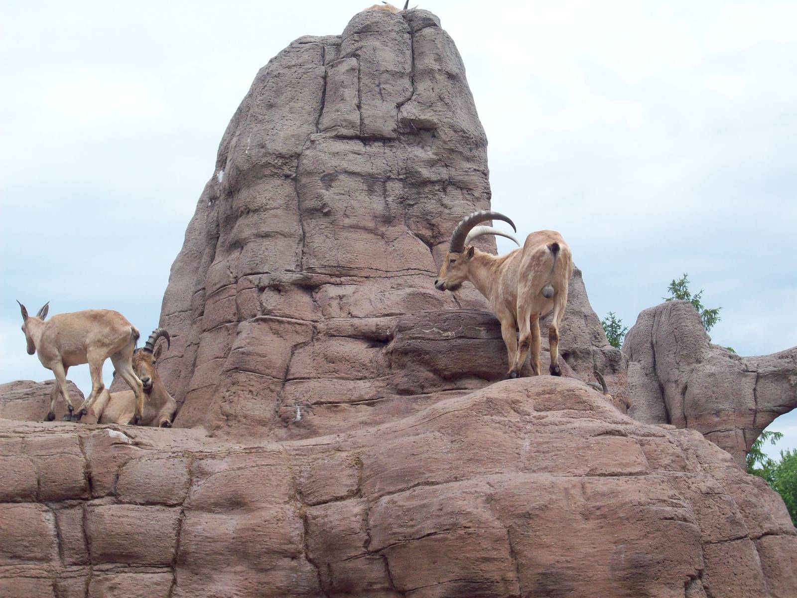 I'm going to mislabel this exhibit