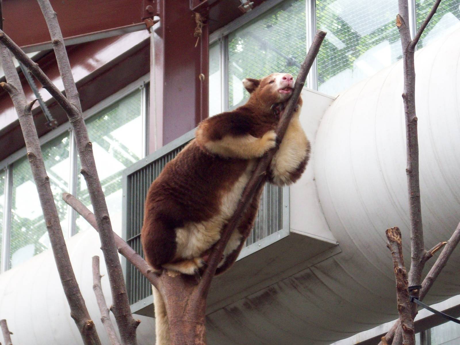 I'm just going to lay here.