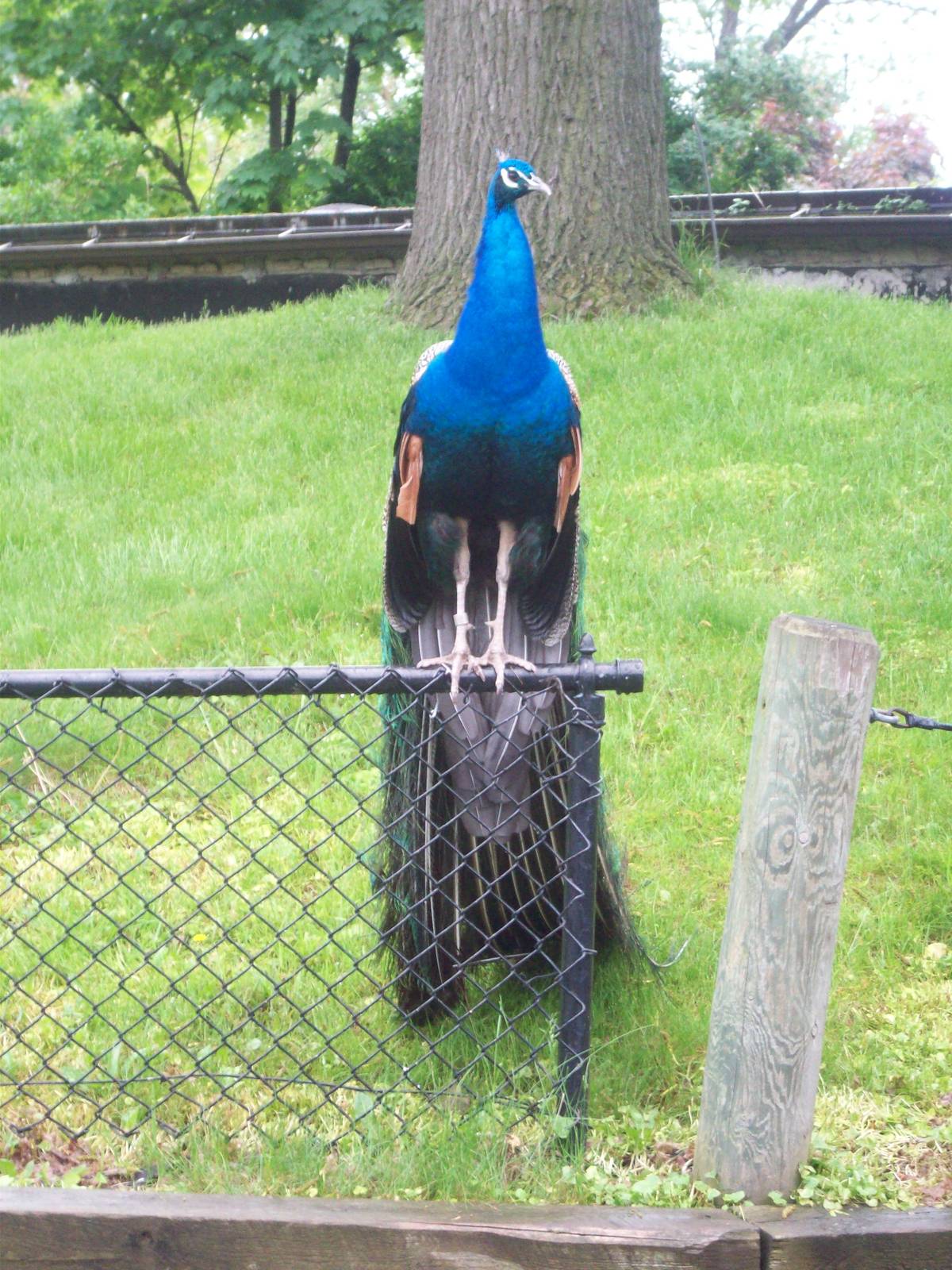 I'm just going to sit here...