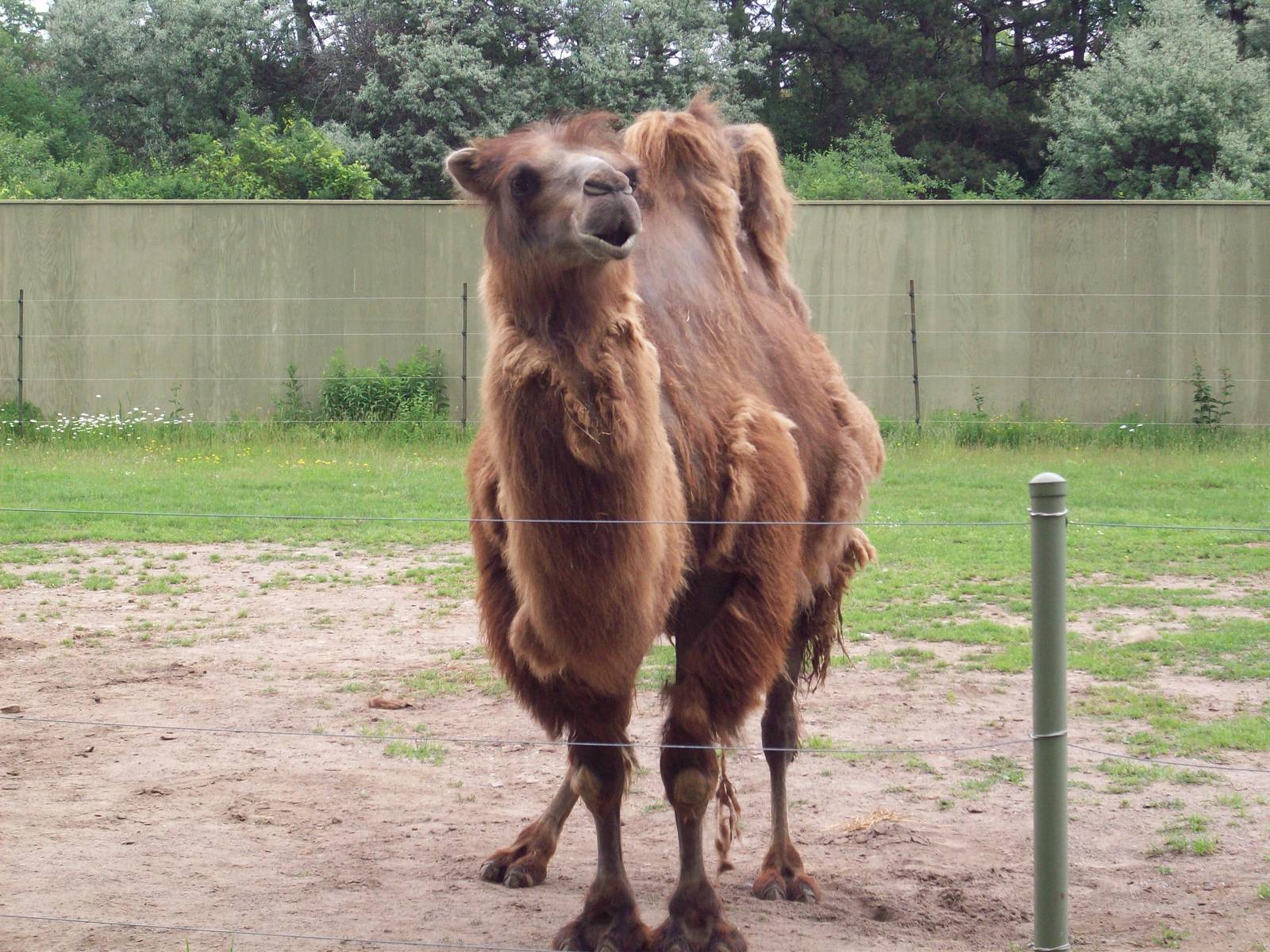 I'm not the one you're allowed to ride.