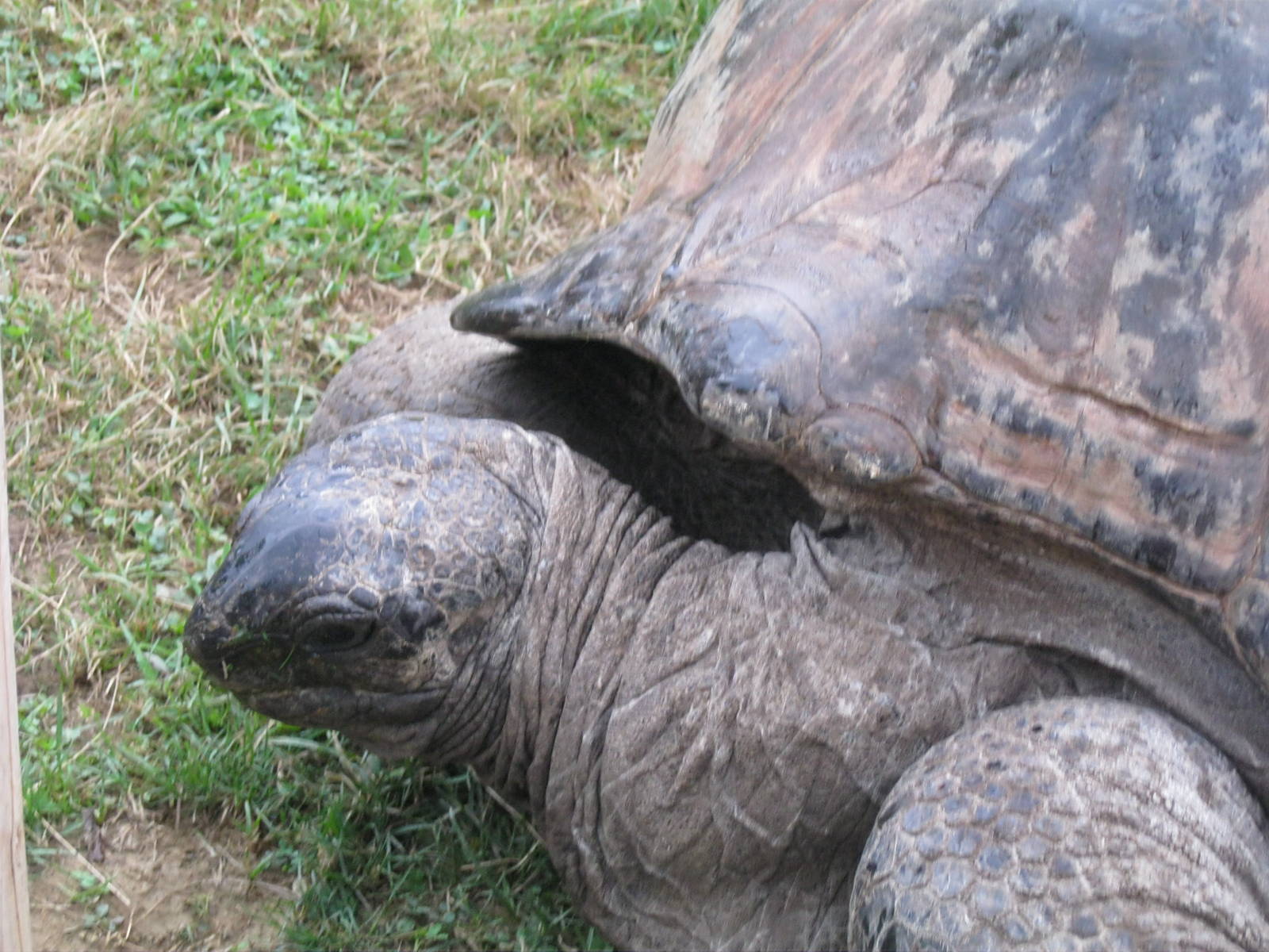 I'm Sitting in the Rain