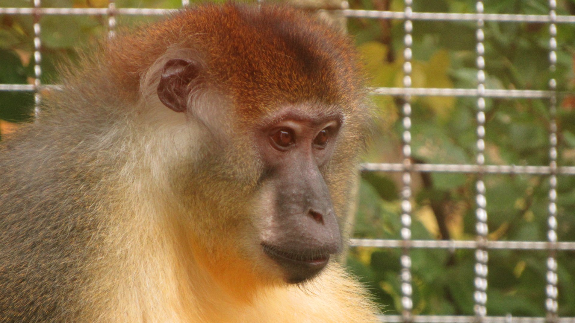 "I'm Watchin' Ya!!!"