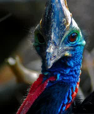 im_so_going_to_get_you_by_demonmoth-d4thfu0