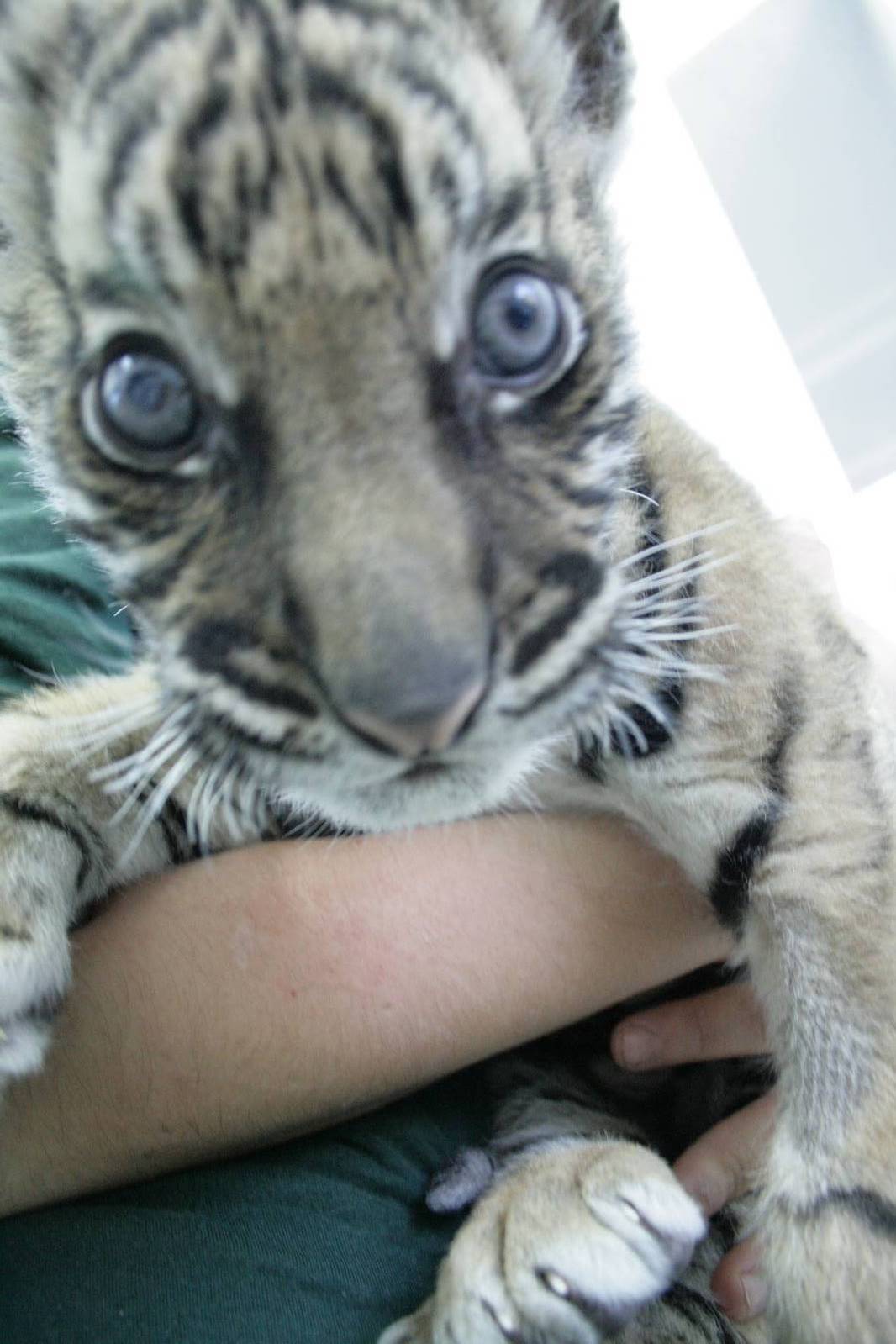 IMG 7879 2000x2000 750KB