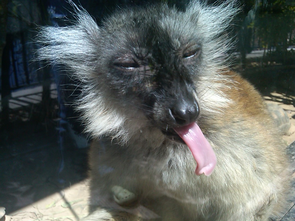 IMG00779-20110420-1003