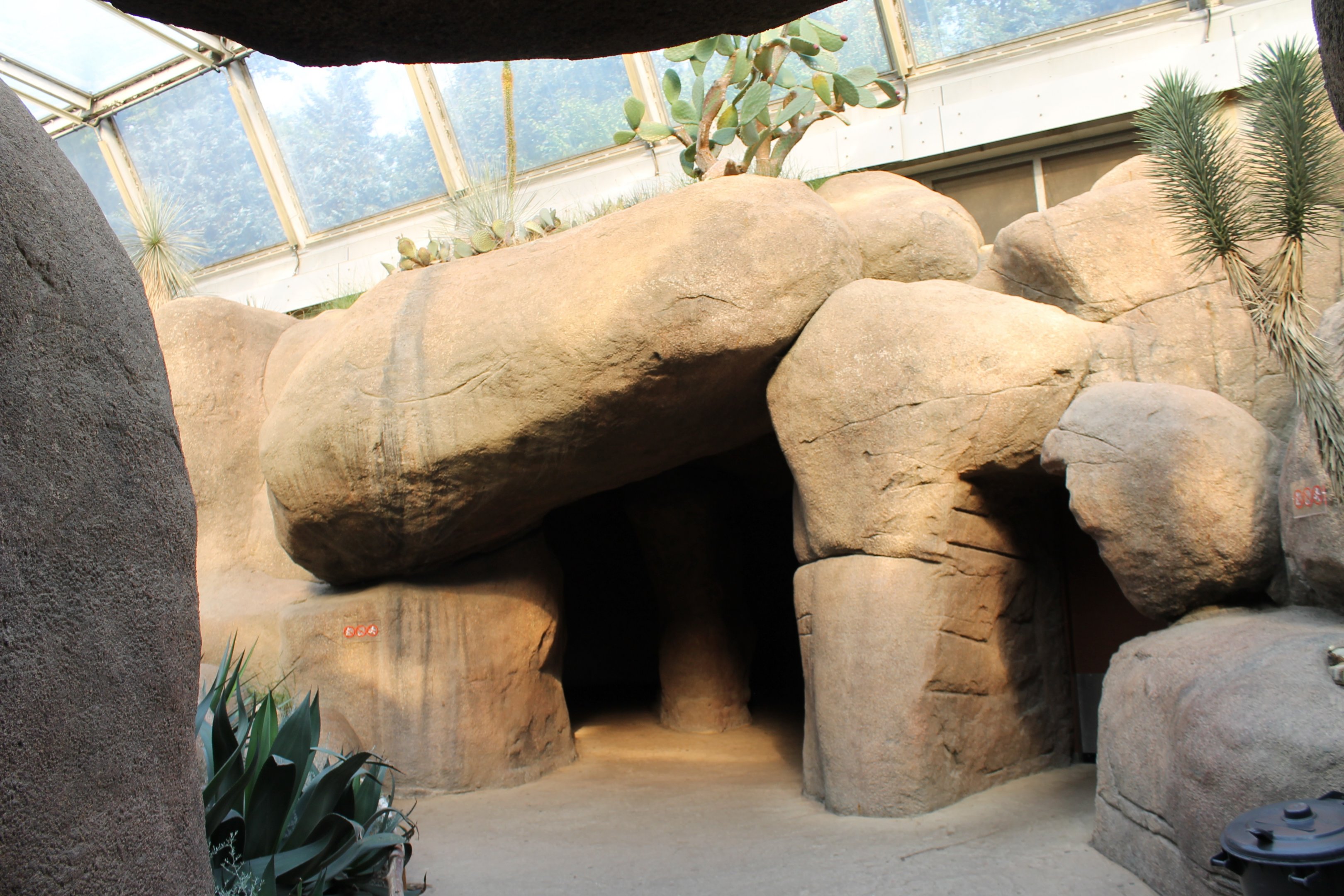 IMG_1069 Entree- Exit Burgers Desert