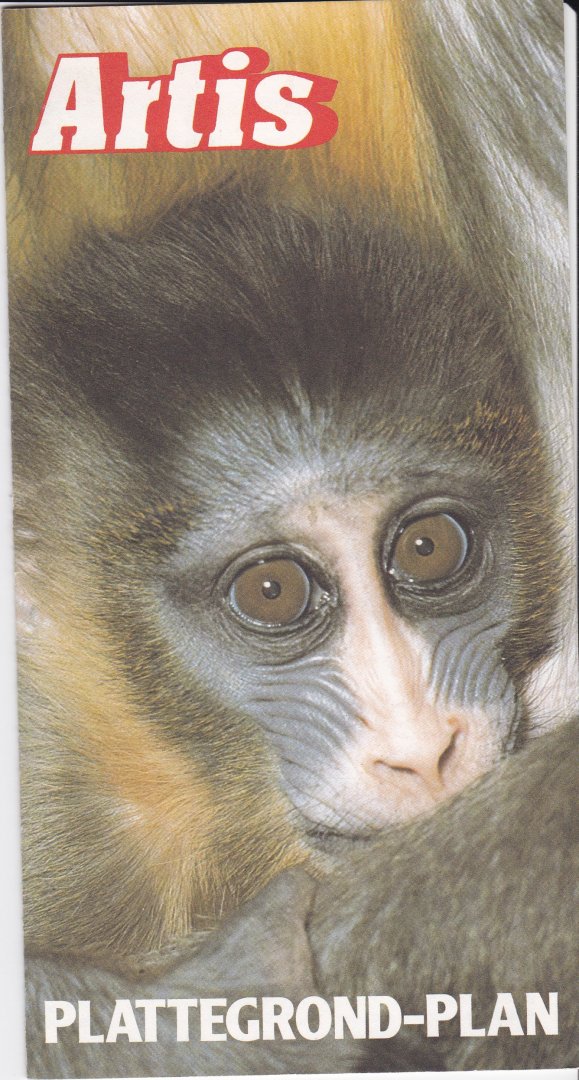 IMG_20171120_0019(0)