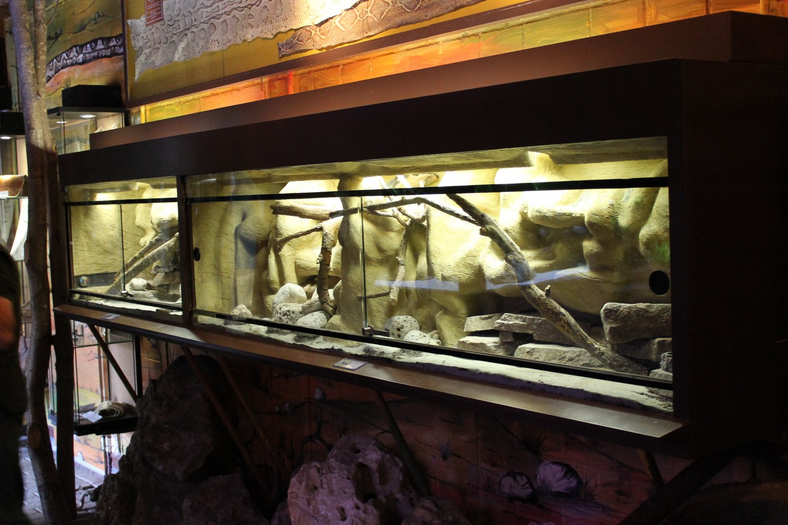 IMG_2719 Viper Enclosures