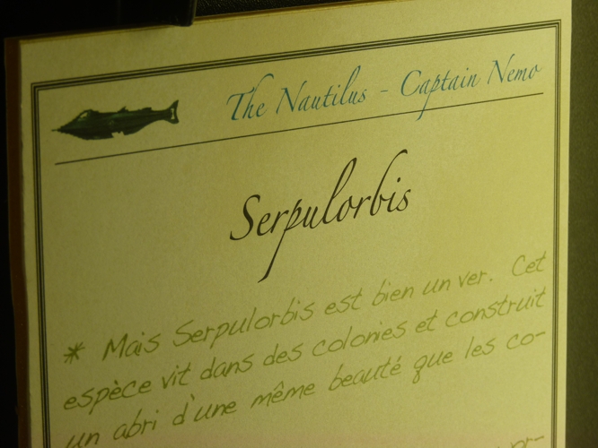 Imitation of a Captain Nemo's letter about worm-snail