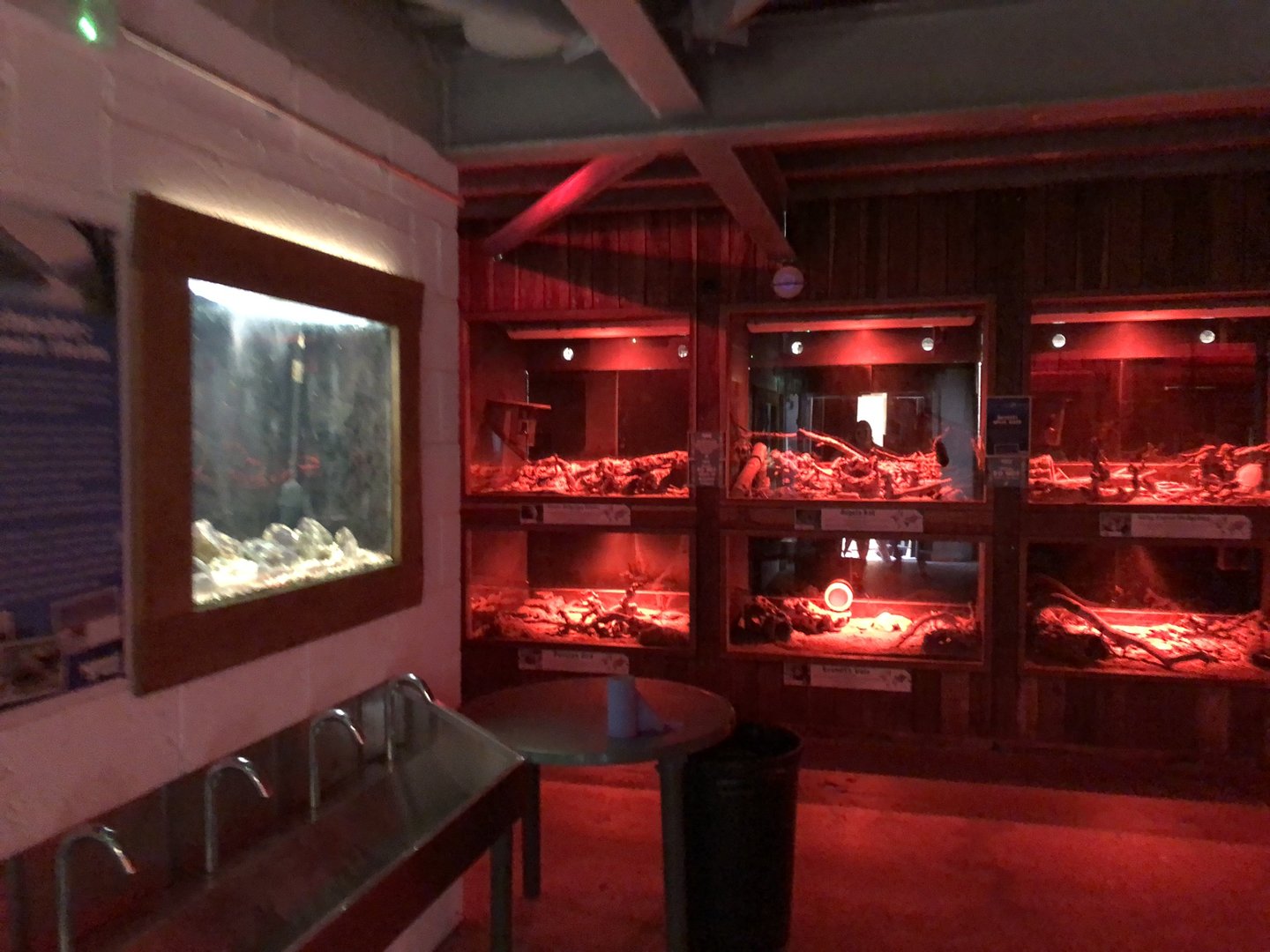 Immediate View of the Mammal House at Cannon Hall Farm (September 2023)