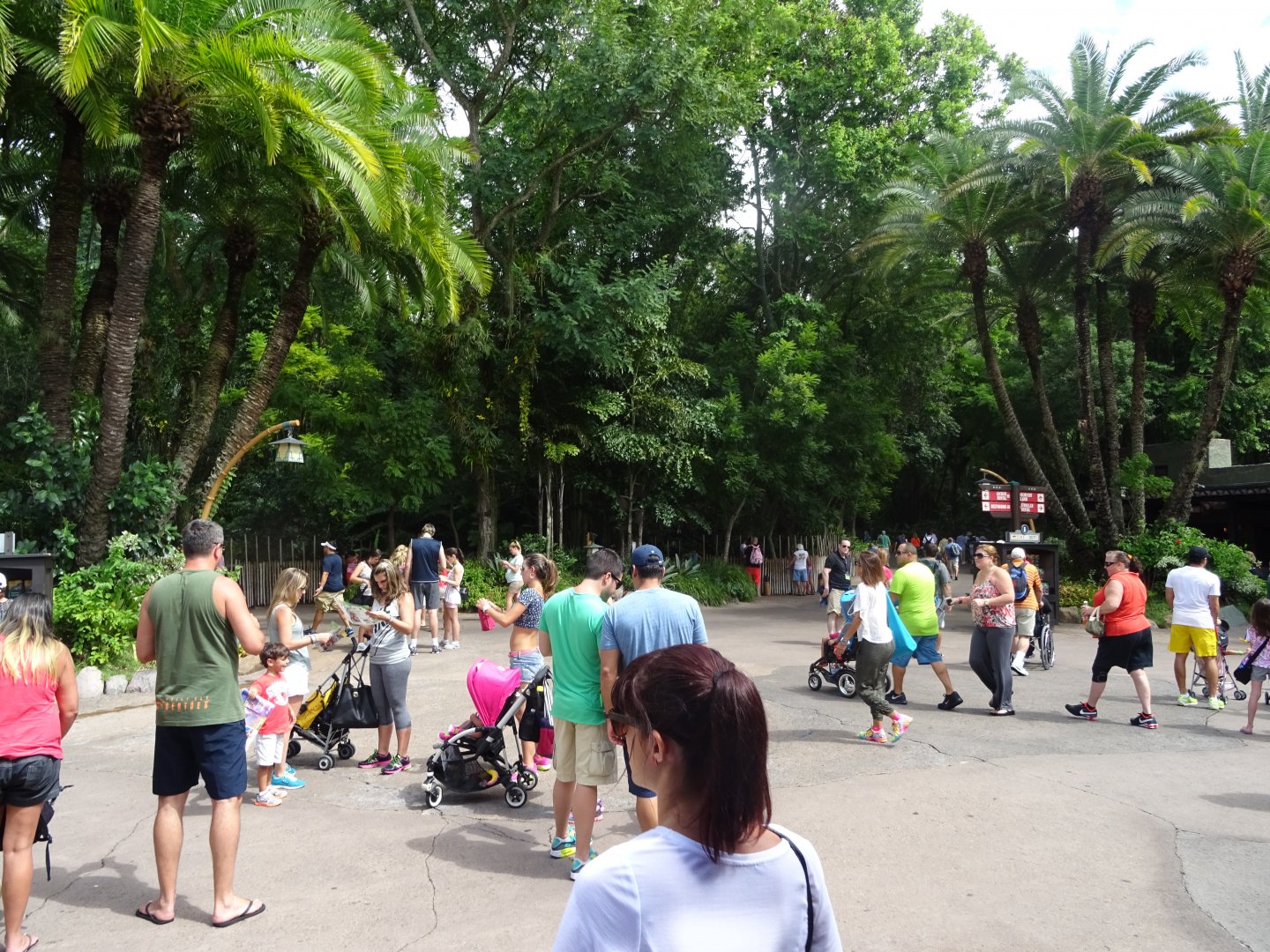 Immediate View Upon Entry at Disney's Animal Kingdom (2014)