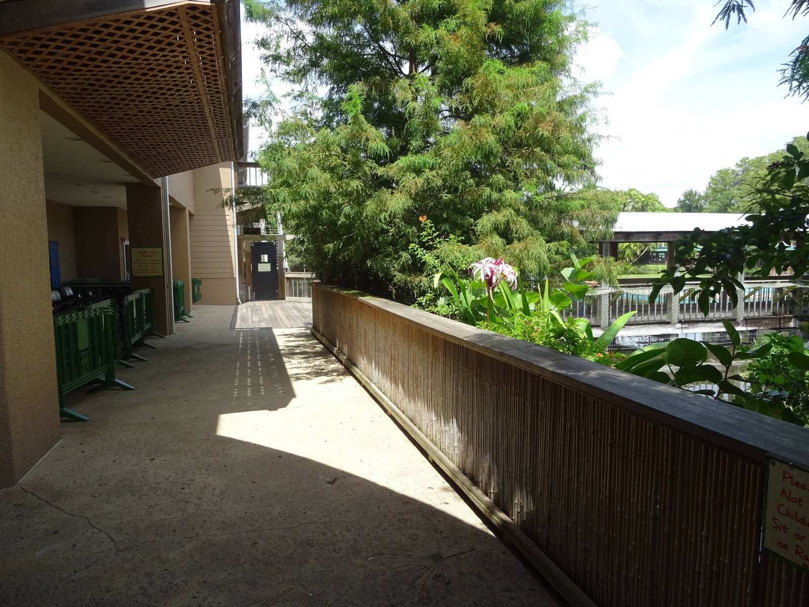 Immediate View Upon Entry at Gatorland