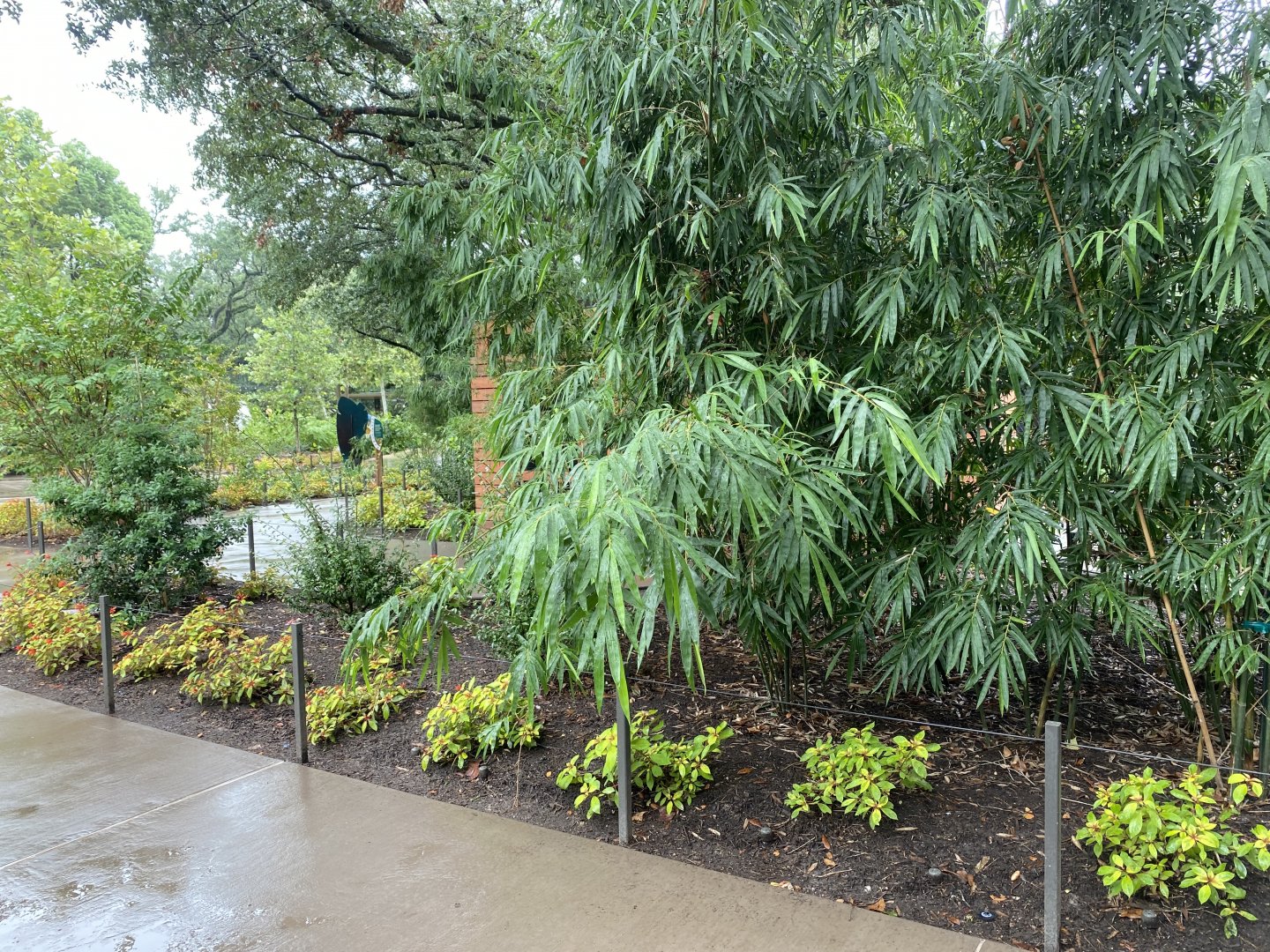 Immersion Keeping Planting