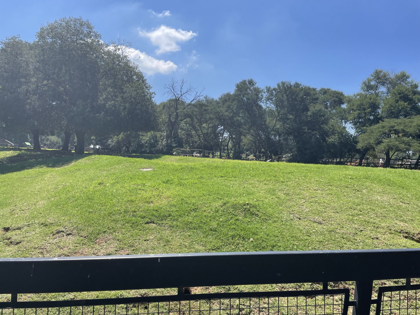Impala and Greater Kudu Exhibit