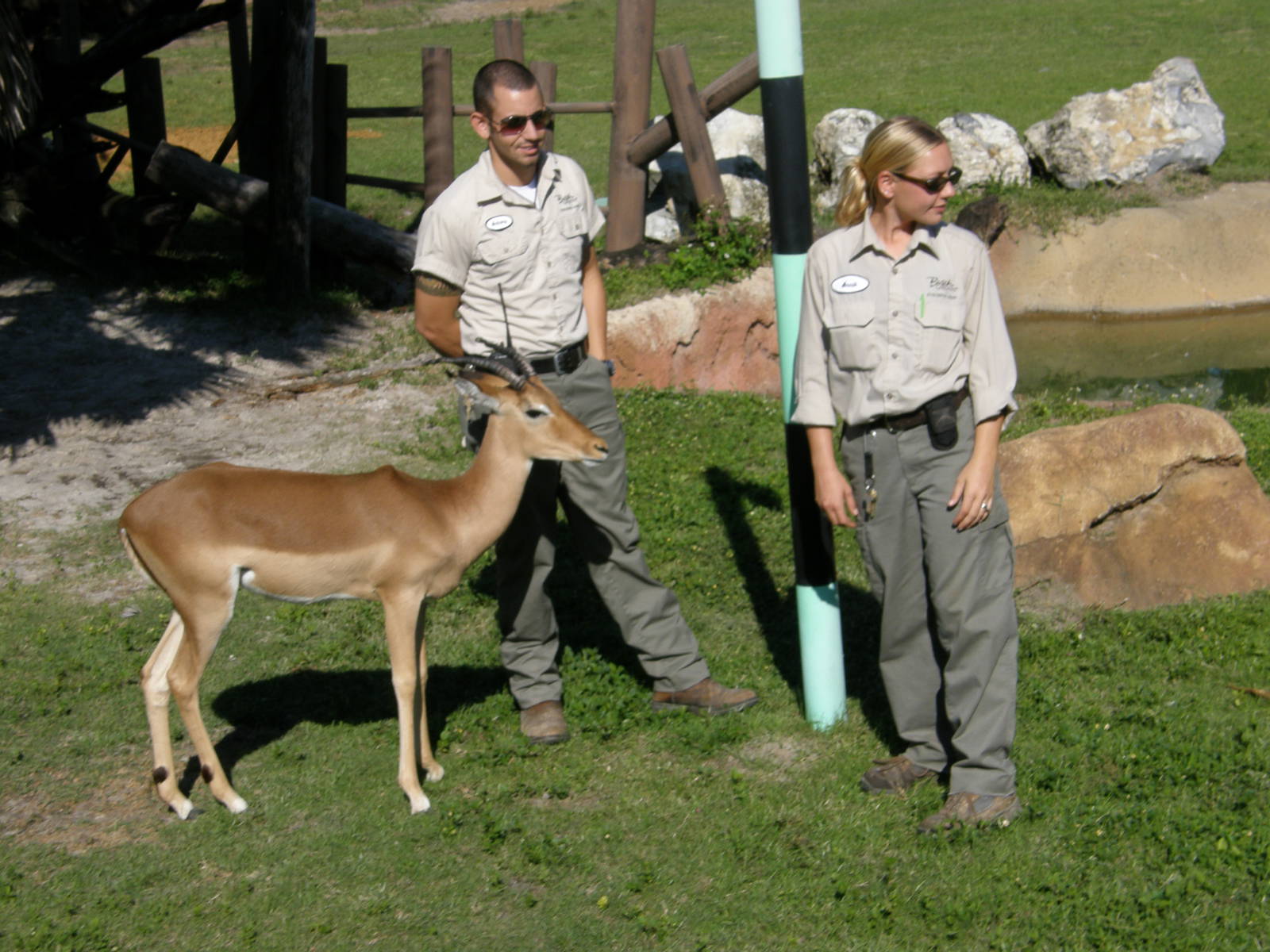 impala and keepers