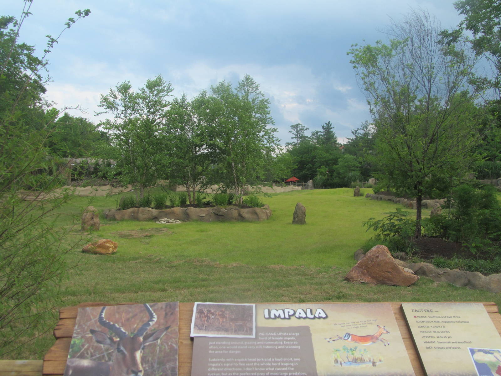 Impala exhibit