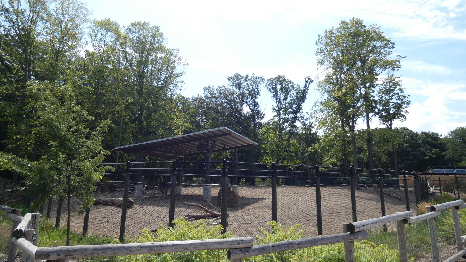 Impala Plains, Adventure Africa - Aug. 2021