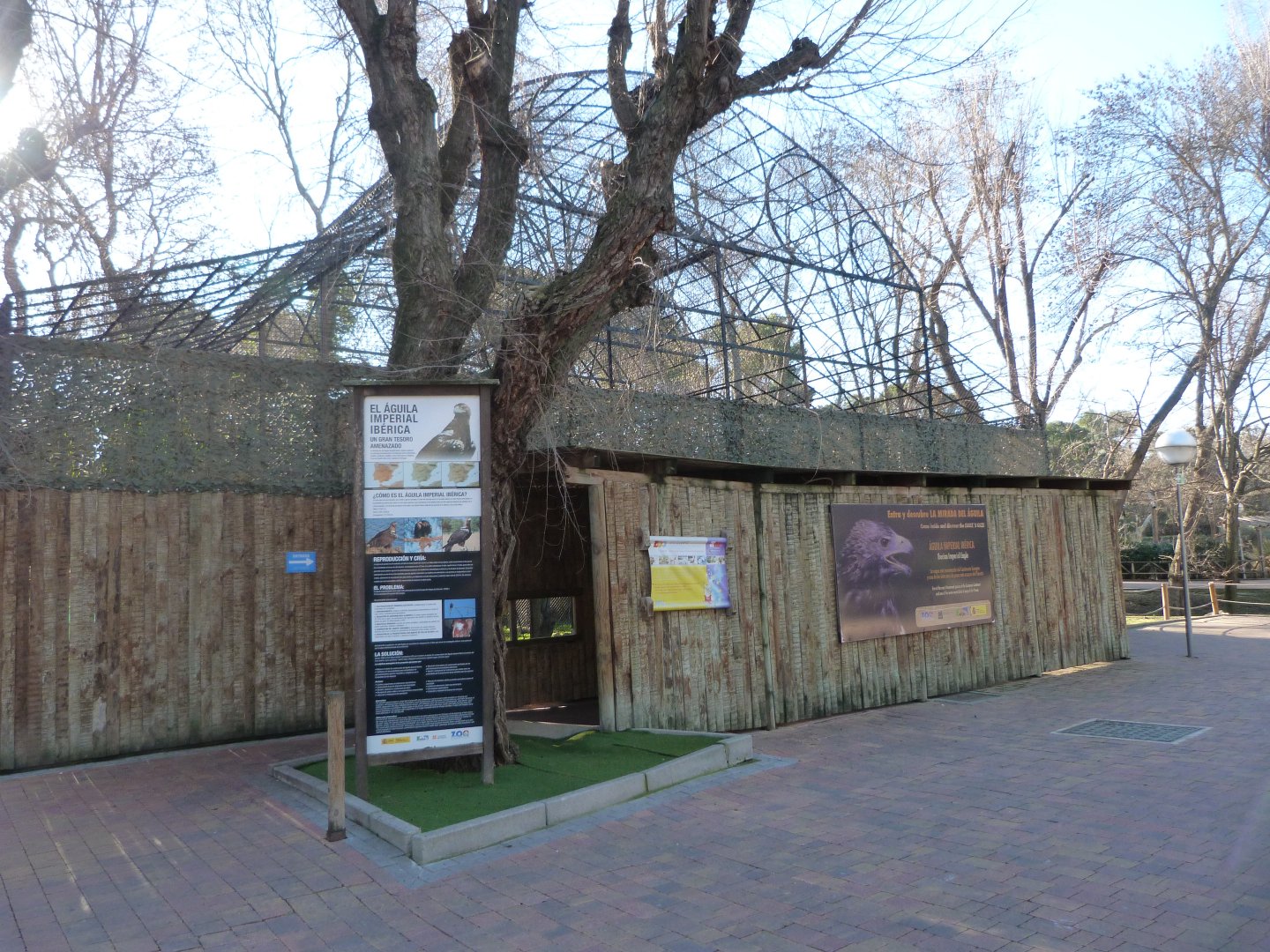 Imperial eagle and griffon vulture viewing area -Zoo Aquarium de Madrid (2025)