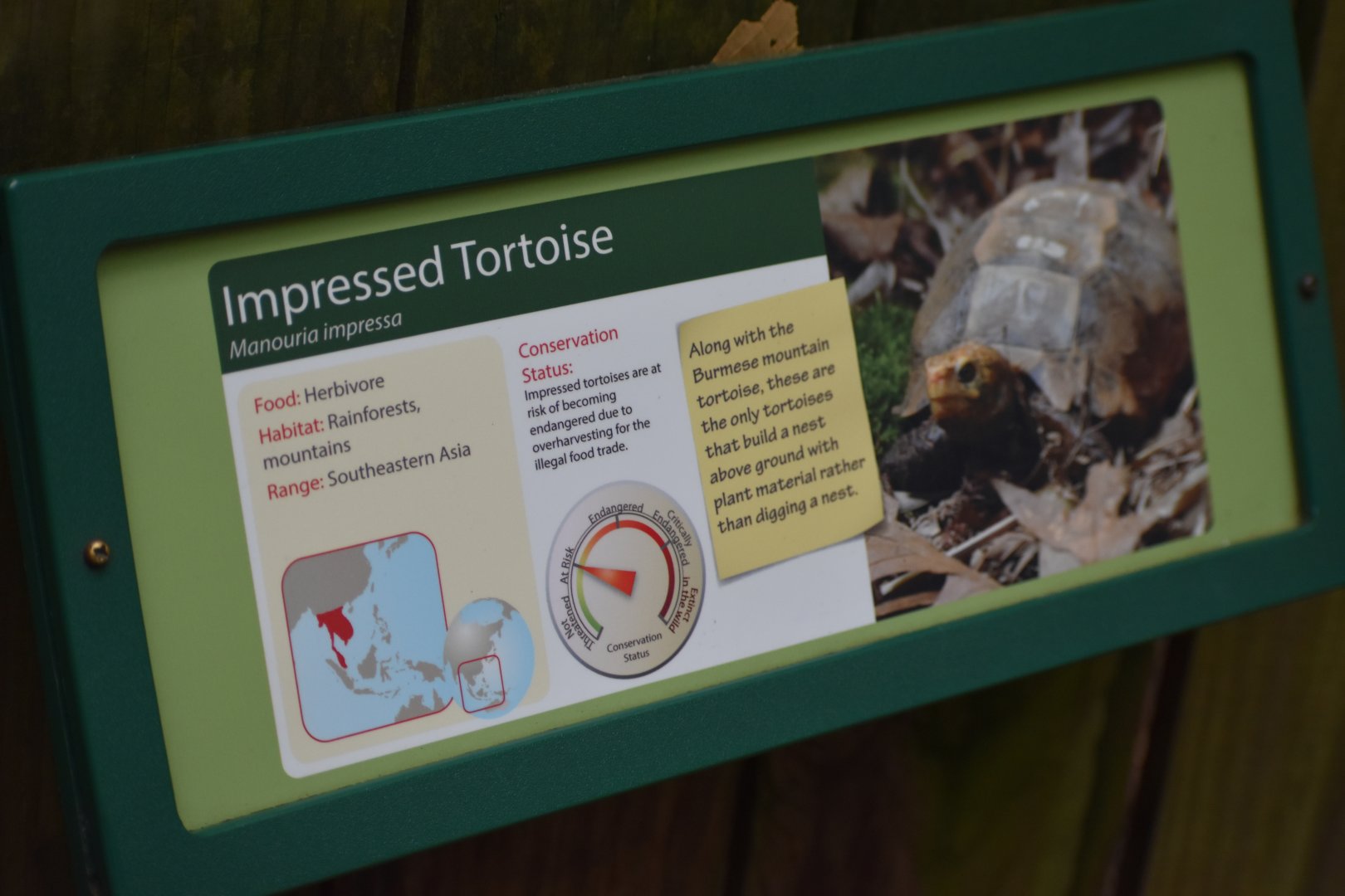 Impressed Tortoise Signage