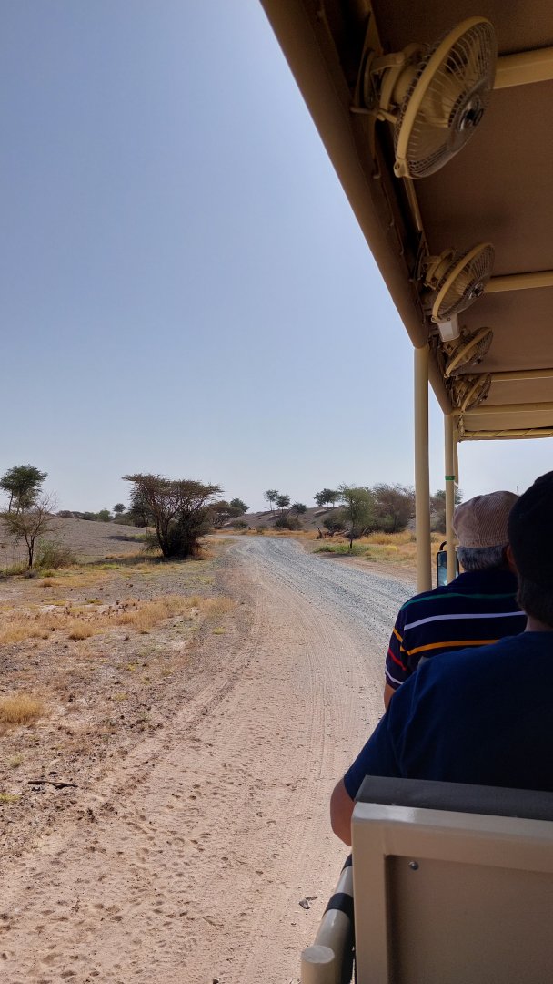 Impression of landscape with tour in a open safari bus