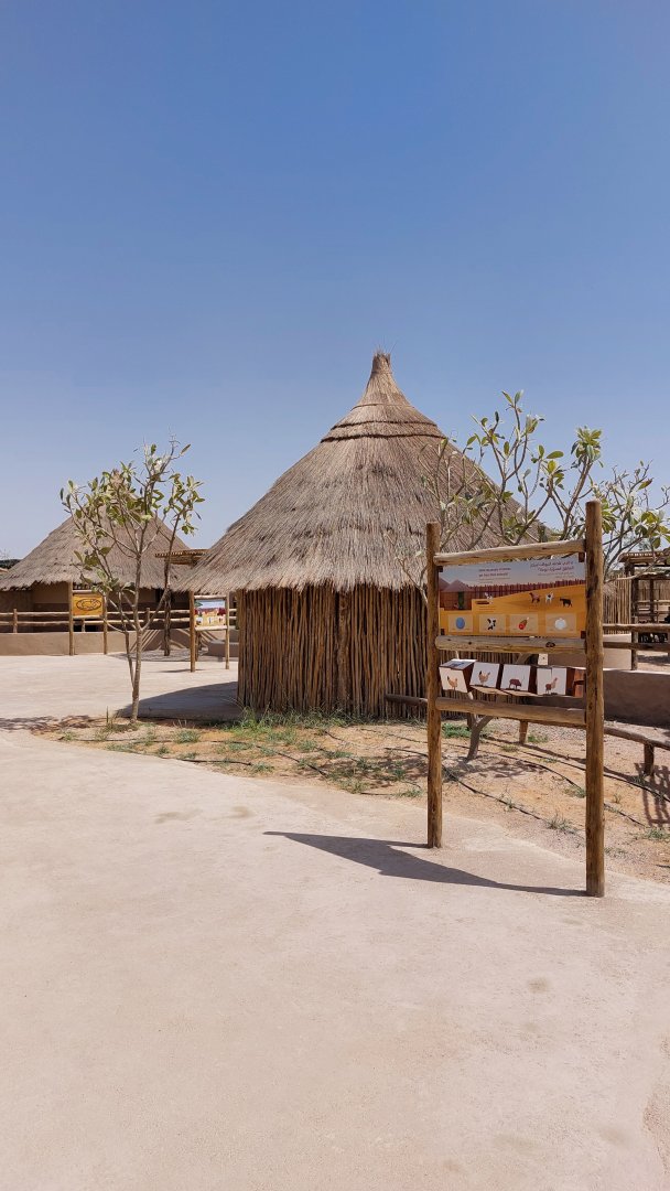 Impression of petting zoo