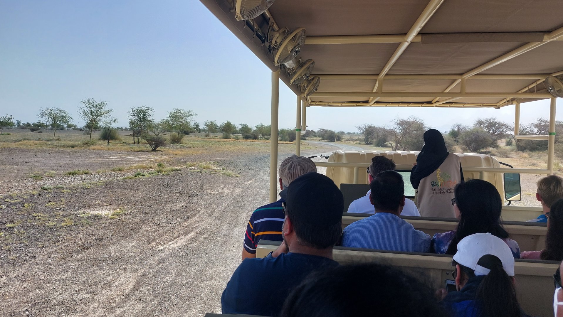 Impression of safari experience