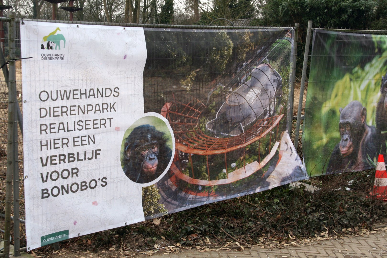 Impression of the new Bonobo exhibit