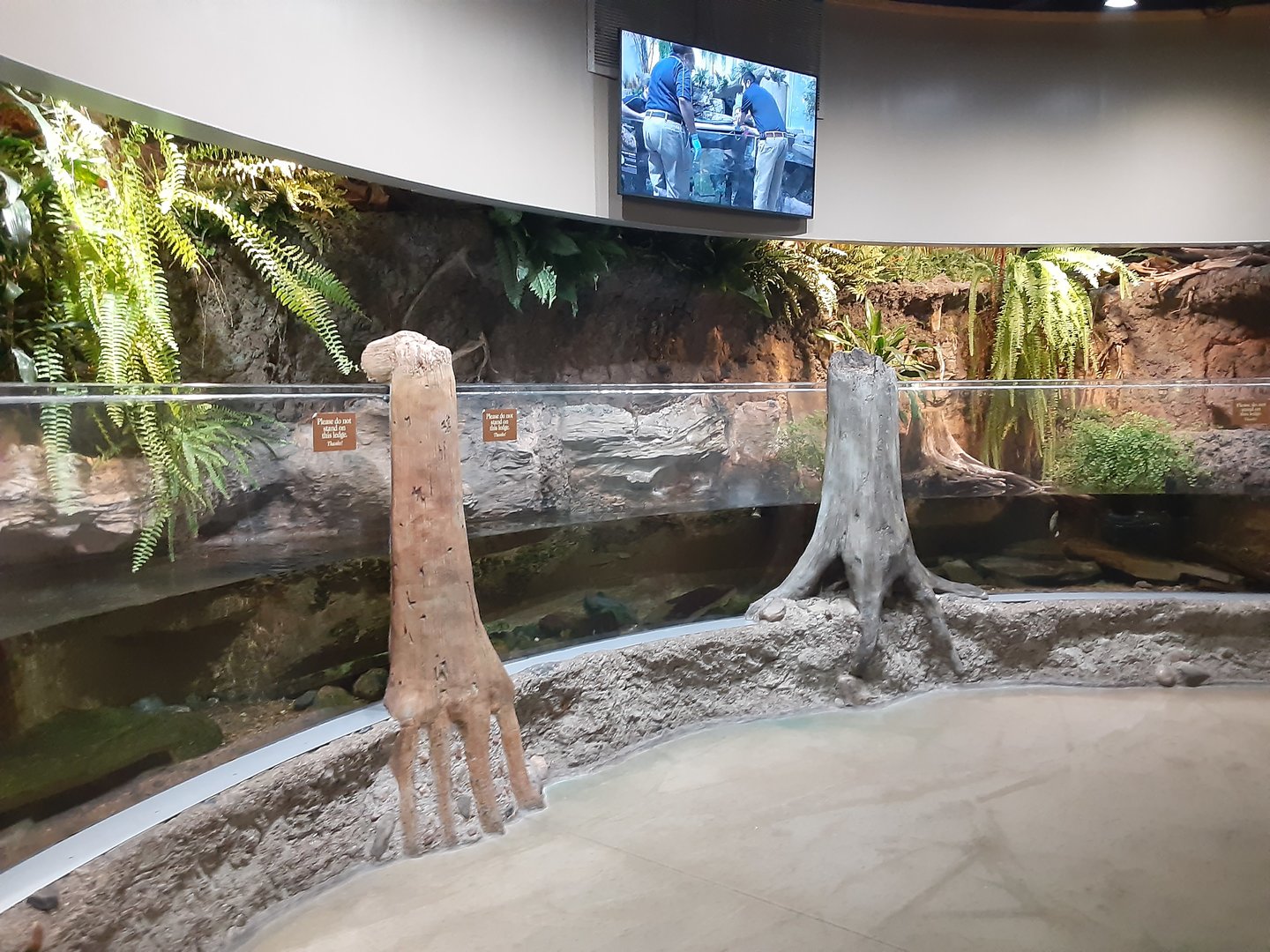 Impressive Hellbender Tank