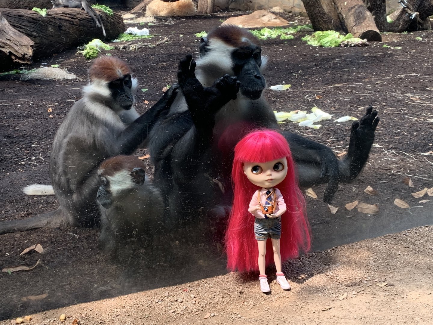 Impromptu experiment