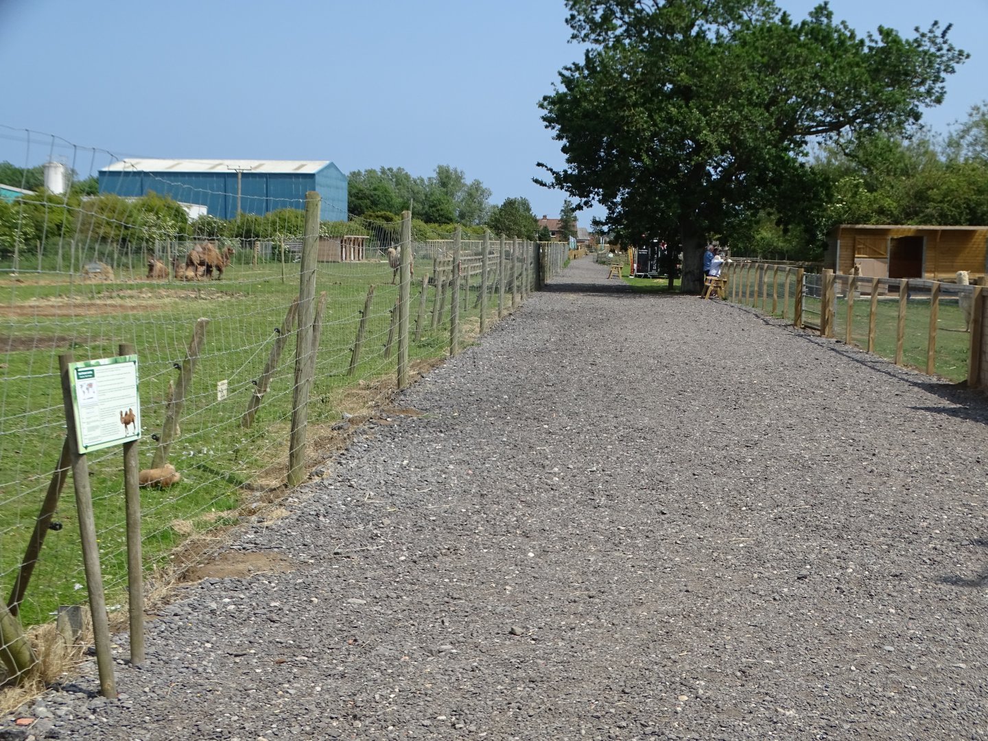 Improved and extended pathway, 11th June 2025