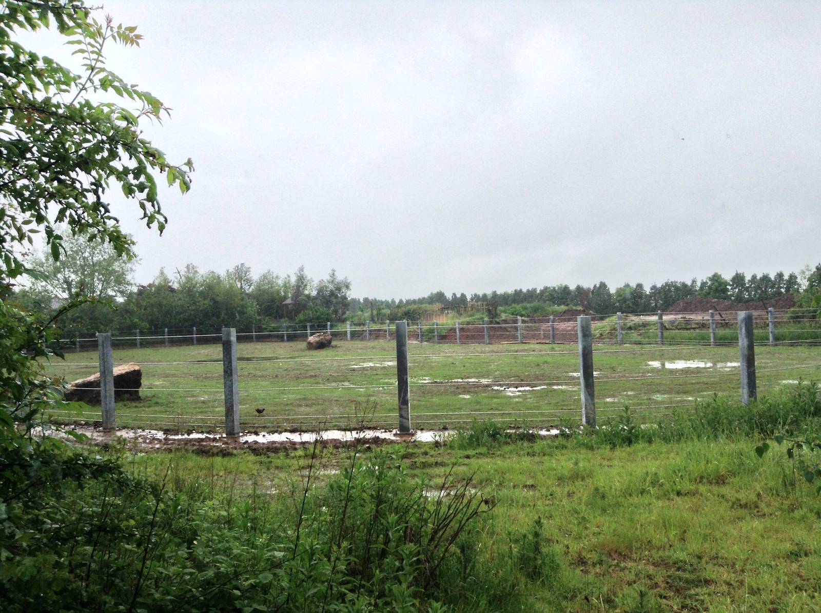 Improvements to Elephant Enclosure 29.05.2014