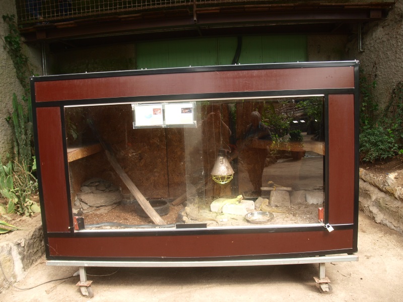 Improvised bearded dragon terrarium (April 19th, 2015)