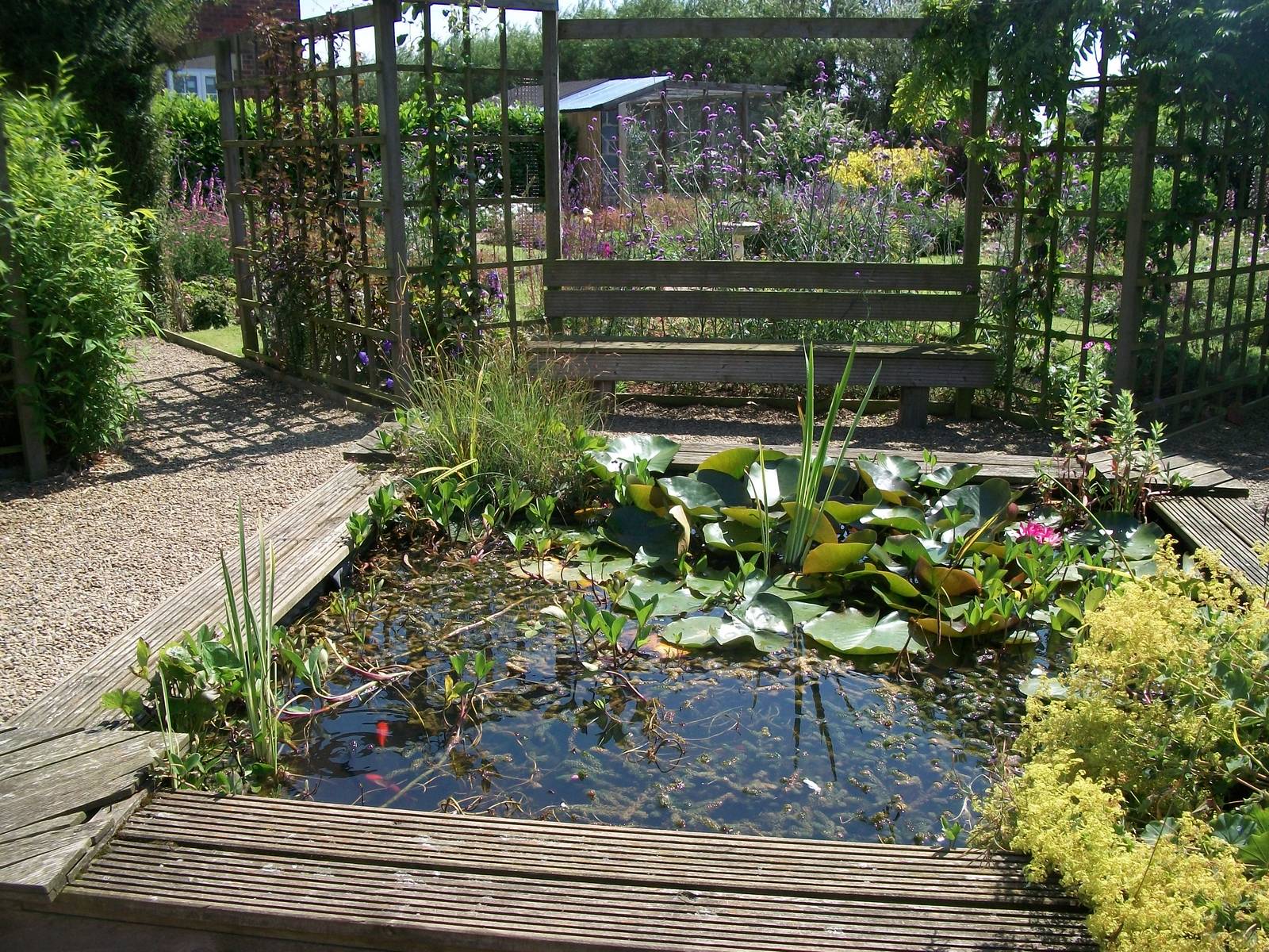 In front of my picnic spot, 24th July 2014