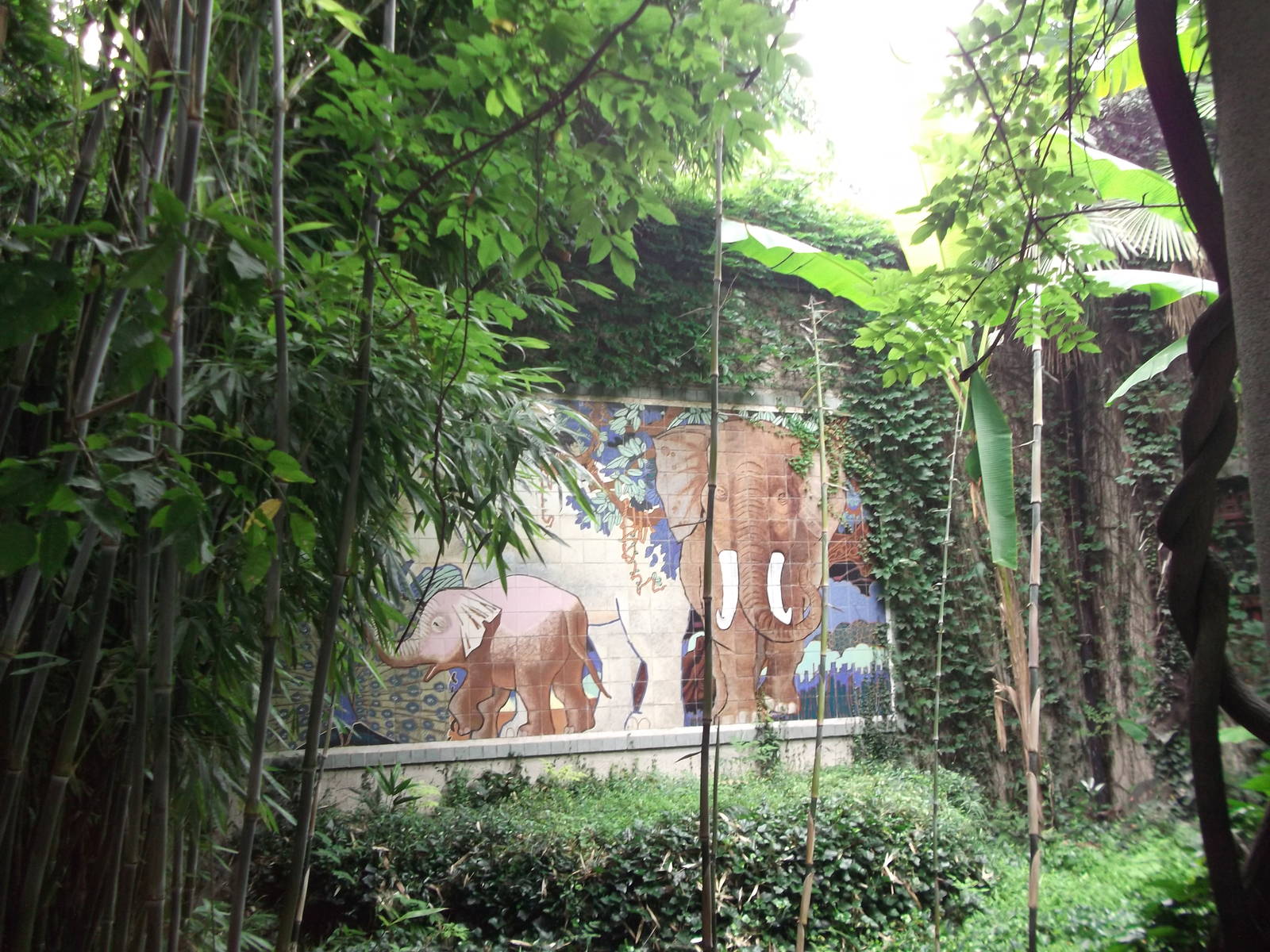 In front of the Elephant house 2