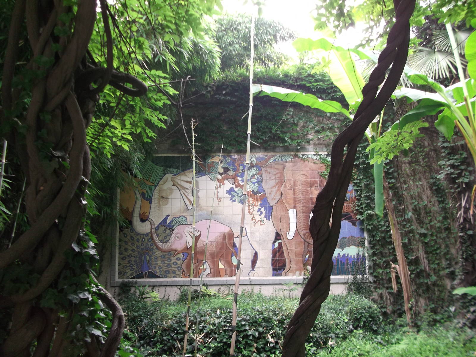 In front of the Elephant house