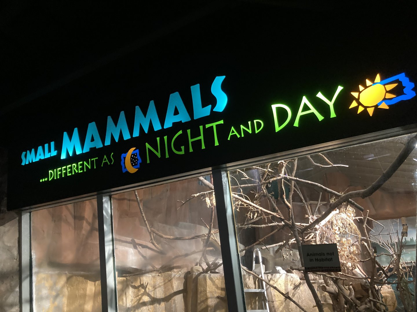 In Memoriam - Small Mammals