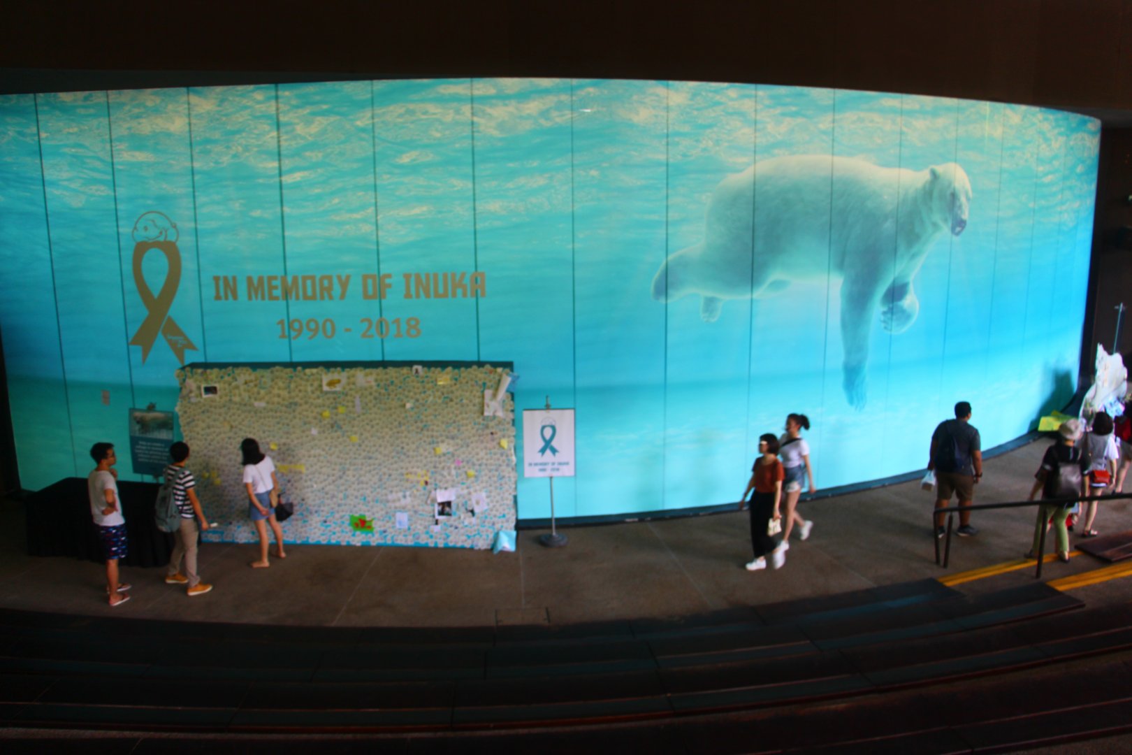 In Memory of Inuka the Polar Bear