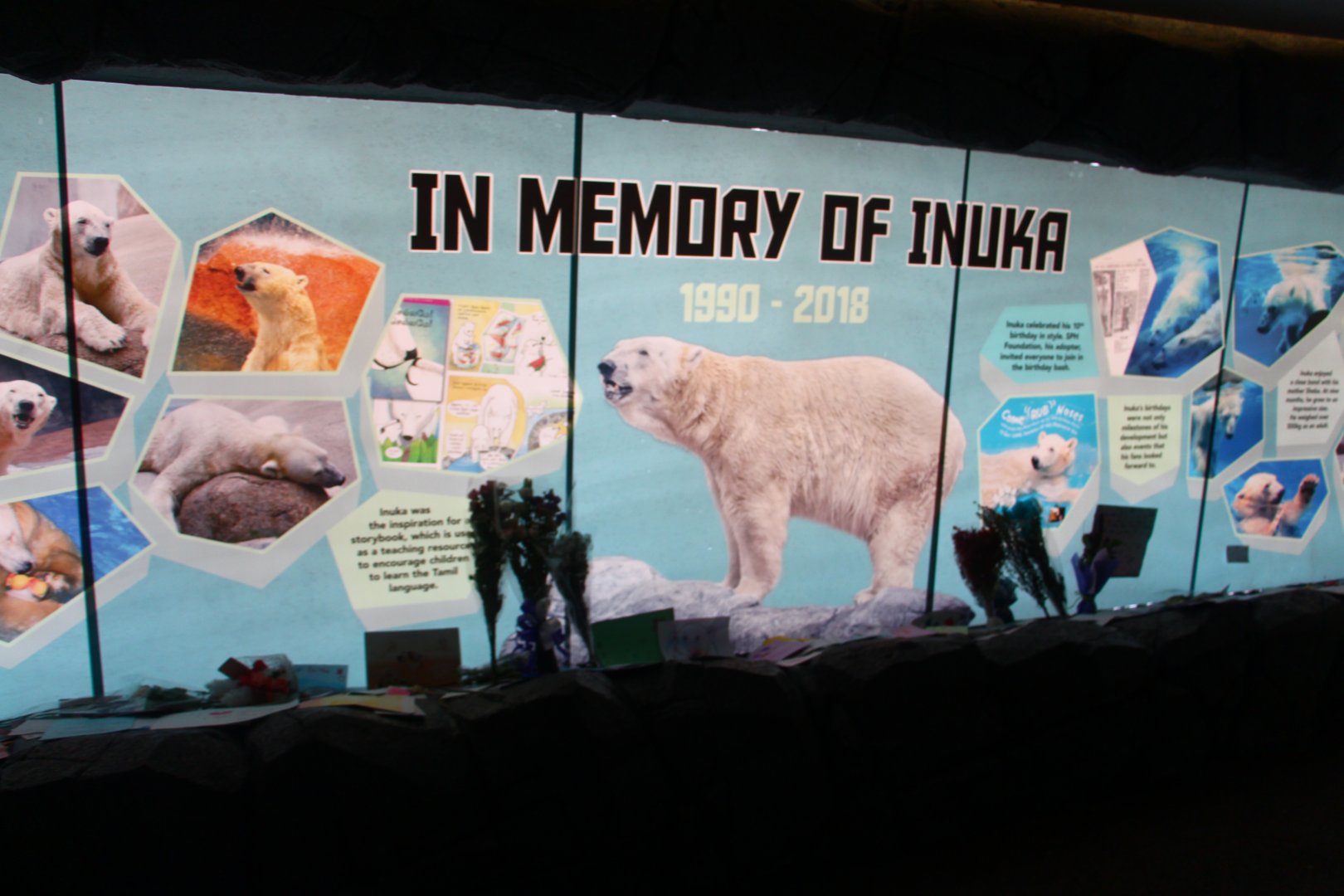 In Memory of Inuka the Polar Bear