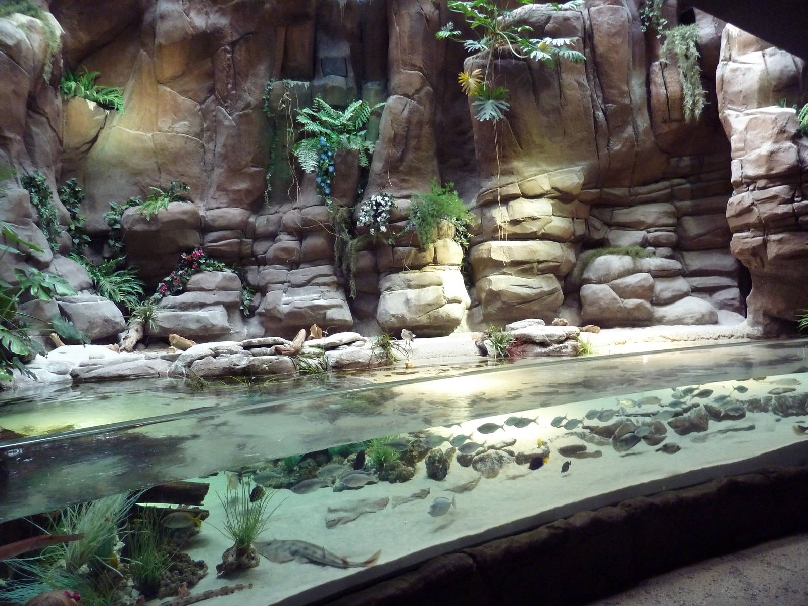 In the Desert Gallery