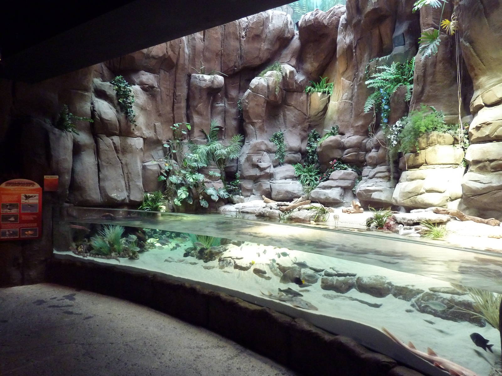 In the Desert Gallery