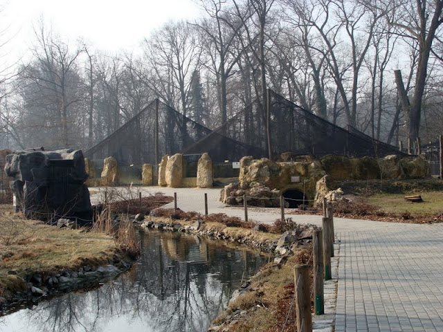 In the distance paddock of prairie dogs