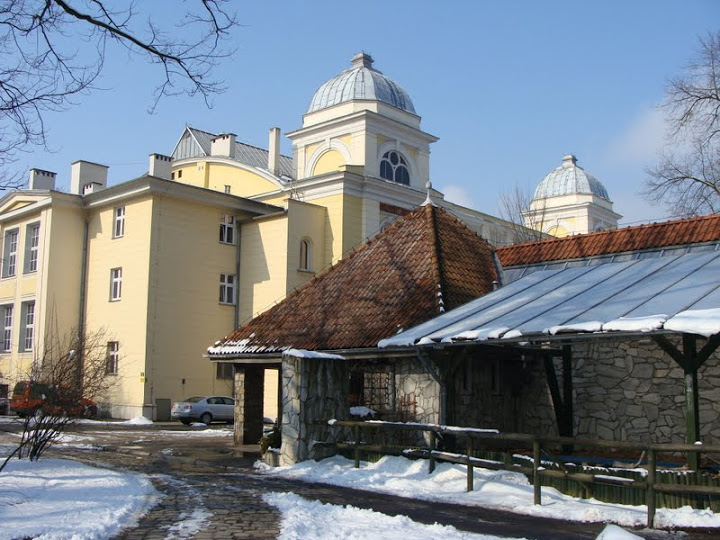 In the foreground building of the aquarium, deep inside terrarium