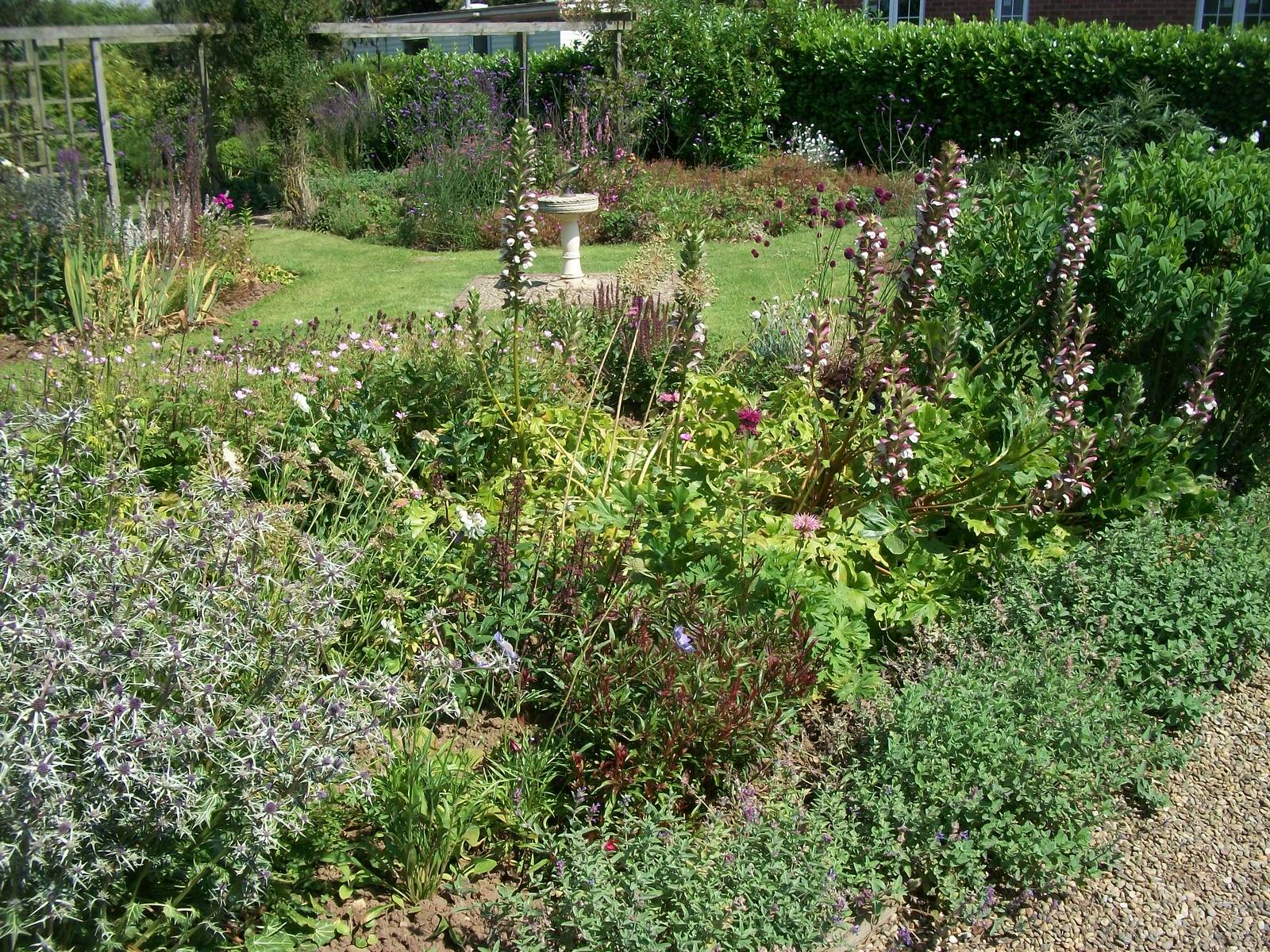 In the gardens, 24th July 2014